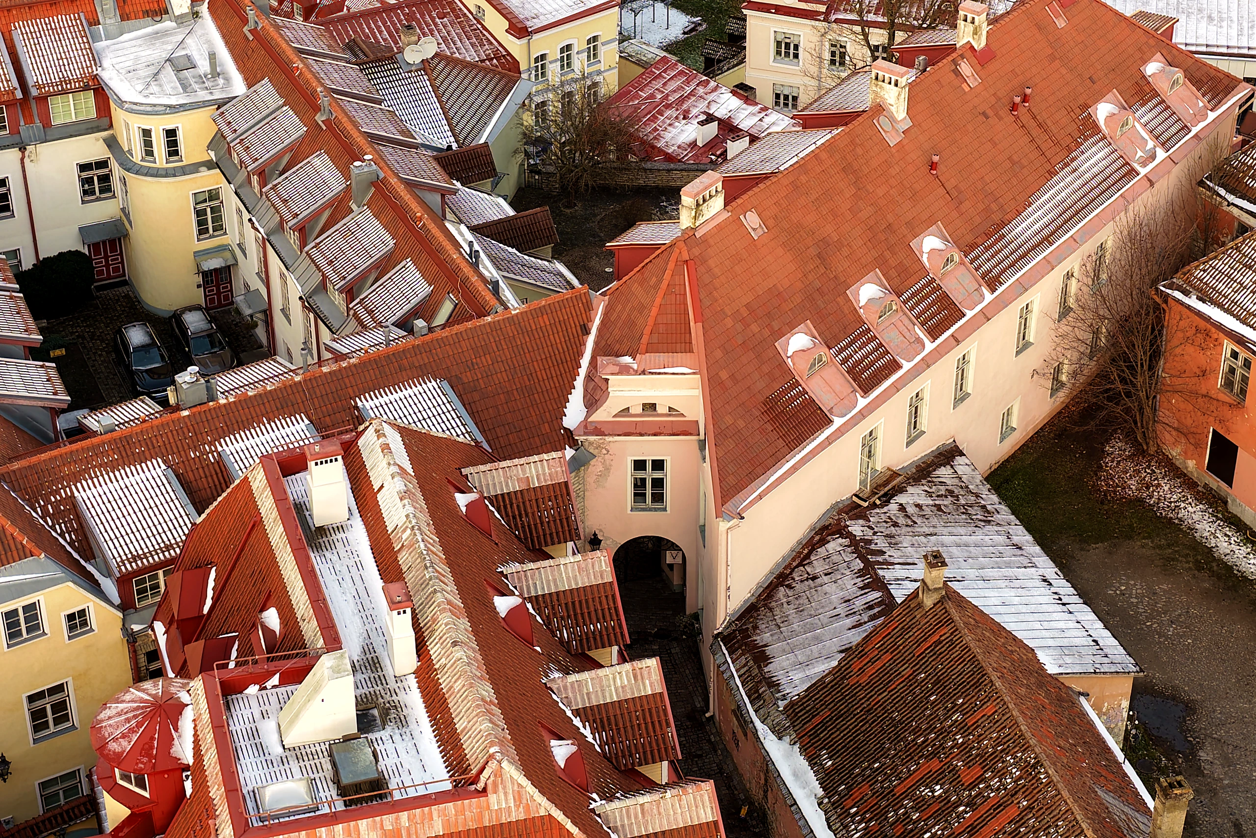 A Sea of Roofs